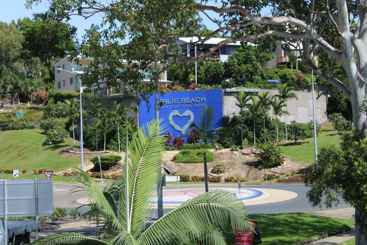 איירלי ביץ' Colonial Court Beachfront Motel & Holiday Stay חדר תמונה